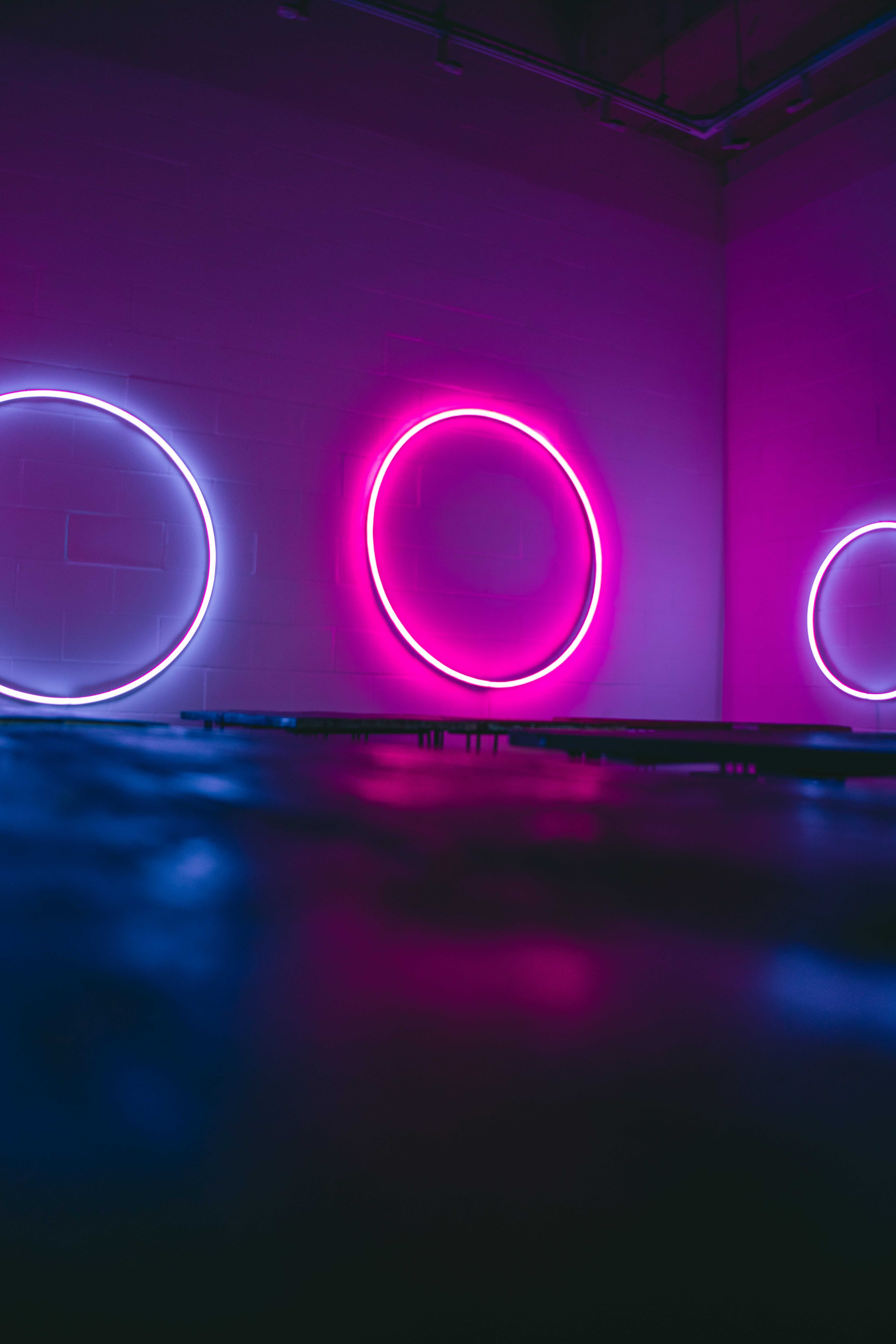 Glowing neon rings in pink and blue on a minimalist wall, symbolising visibility, data clarity, and early signal detection in modern environments.